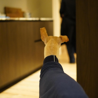 PHOTO-2026-01-31-09-41-41 3