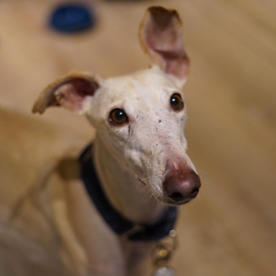 PHOTO-2026-01-31-09-41-41 4