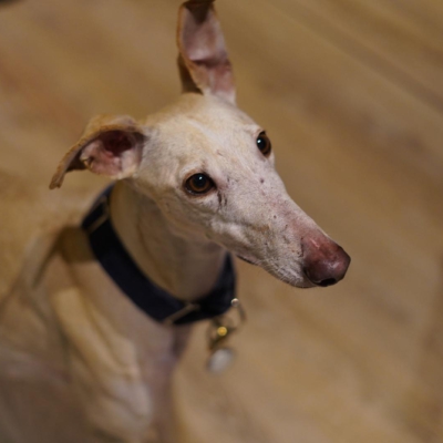 PHOTO-2026-01-31-09-41-41