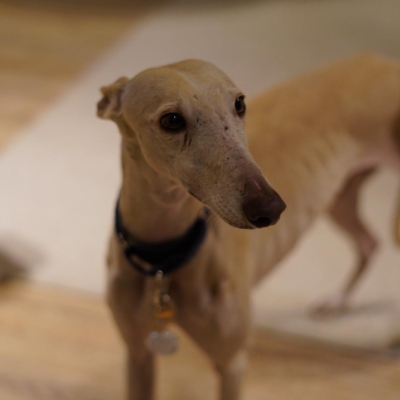 PHOTO-2026-01-31-09-41-41 5