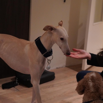 PHOTO-2026-01-31-09-41-41 7