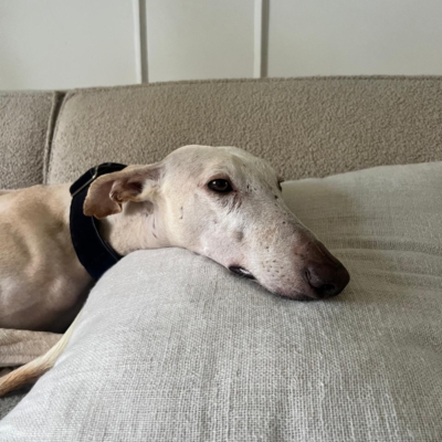 PHOTO-2026-01-31-09-41-41 8