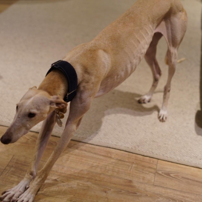 PHOTO-2026-01-31-09-41-41 9