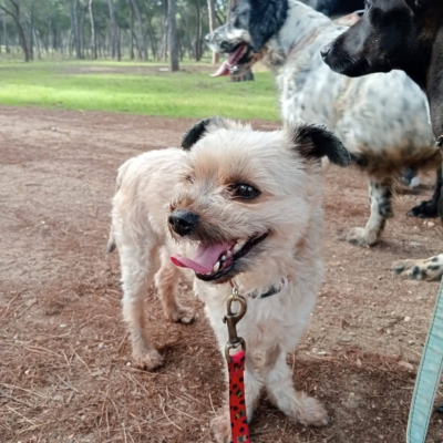 PHOTO-2026-01-31-16-36-06 2