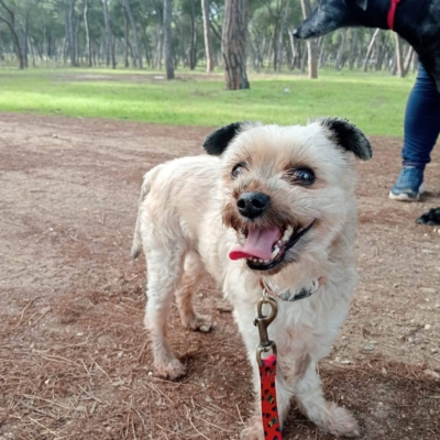 PHOTO-2026-01-31-16-36-06 3