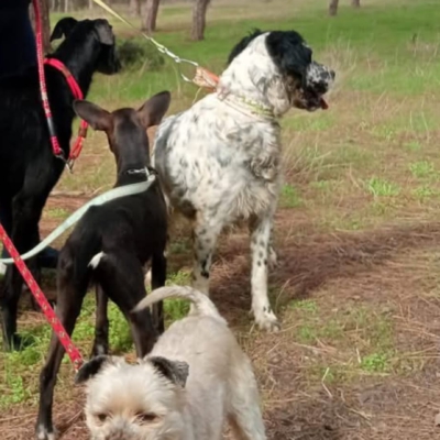 PHOTO-2026-01-31-16-36-06