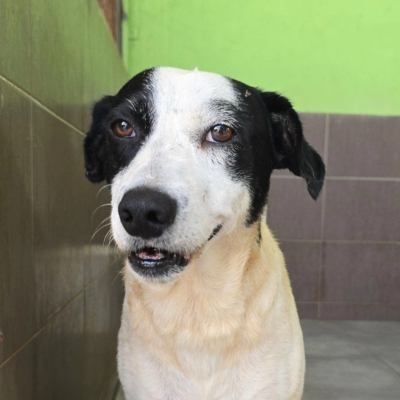 PHOTO-2026-01-31-16-39-55