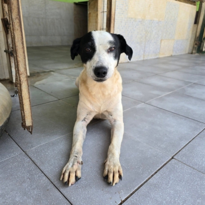 PHOTO-2026-01-31-16-39-56 3