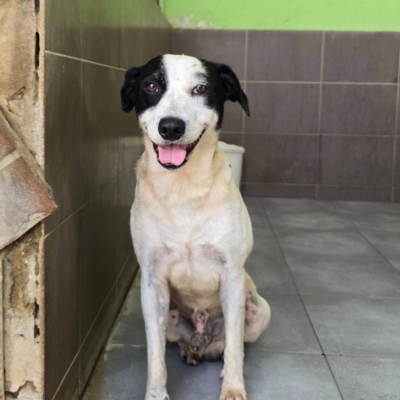 PHOTO-2026-01-31-16-39-56 5