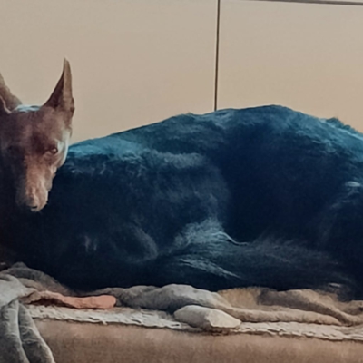 PHOTO-2026-01-31-17-02-11 2