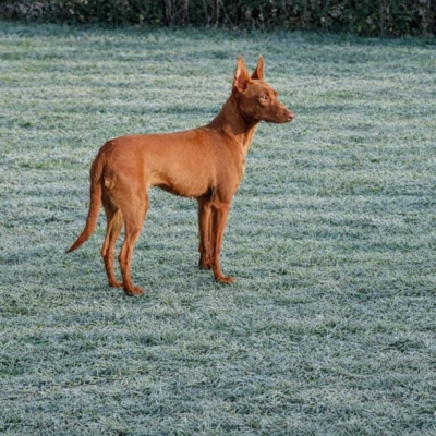 PHOTO-2026-01-31-17-02-11 4