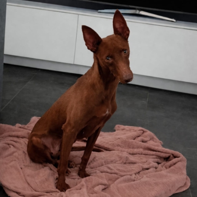 PHOTO-2026-01-31-17-02-11 5