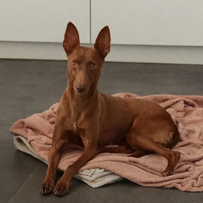 PHOTO-2026-01-31-17-02-11 6