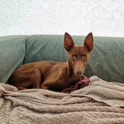 PHOTO-2026-01-31-17-02-11 7