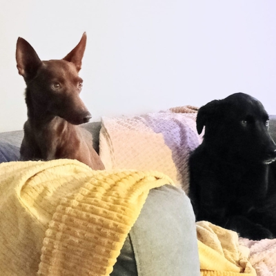 PHOTO-2026-01-31-17-02-11 8