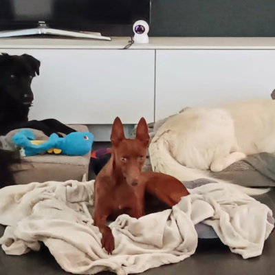 PHOTO-2026-01-31-17-02-11 9