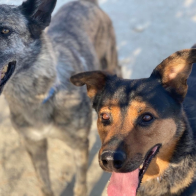 PHOTO-2026-02-13-15-27-54 2