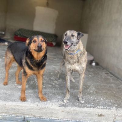 PHOTO-2026-02-13-15-27-54 3