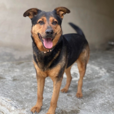 PHOTO-2026-02-13-15-27-54 4