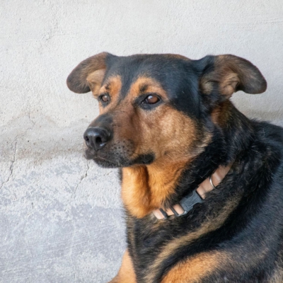 PHOTO-2026-02-13-15-27-54