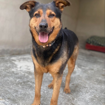 PHOTO-2026-02-13-15-27-54 5