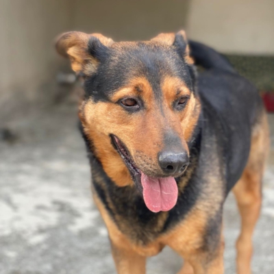 PHOTO-2026-02-13-15-27-54 7