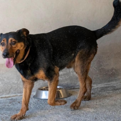 PHOTO-2026-02-13-15-27-54 8