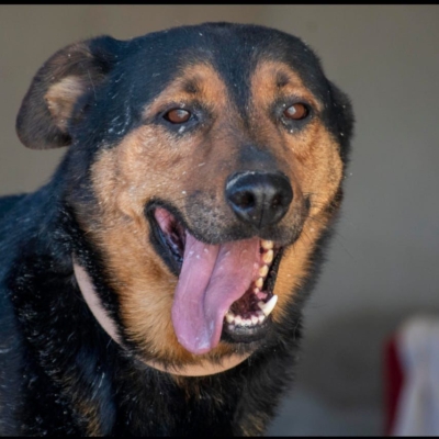 PHOTO-2026-02-13-15-27-54 9