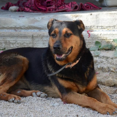 PHOTO-2026-02-13-15-27-55 10