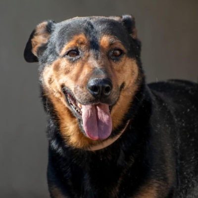 PHOTO-2026-02-13-15-27-55 4