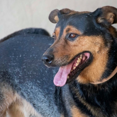 PHOTO-2026-02-13-15-27-55