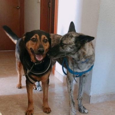 PHOTO-2026-02-13-15-27-55 6