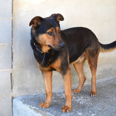 PHOTO-2026-02-13-15-27-55 9