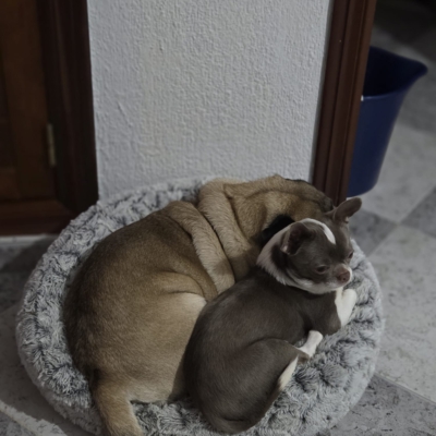 PHOTO-2026-02-17-09-13-54 10