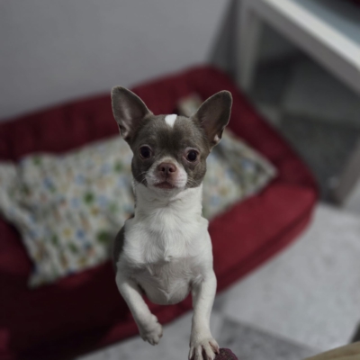 PHOTO-2026-02-17-09-13-54 11