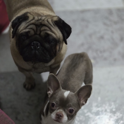 PHOTO-2026-02-17-09-13-54 12