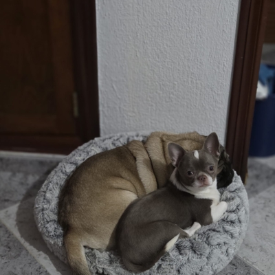 PHOTO-2026-02-17-09-13-54 14