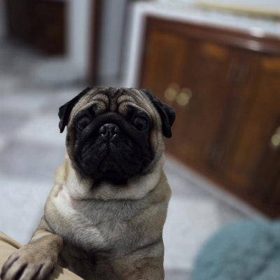 PHOTO-2026-02-17-09-13-54 15