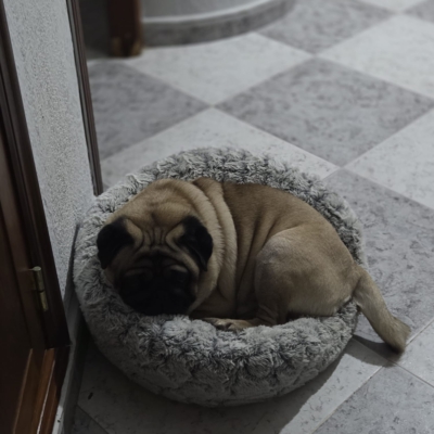 PHOTO-2026-02-17-09-13-54 16