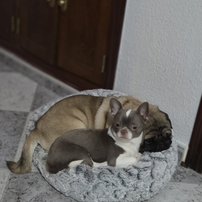 PHOTO-2026-02-17-09-13-54 17