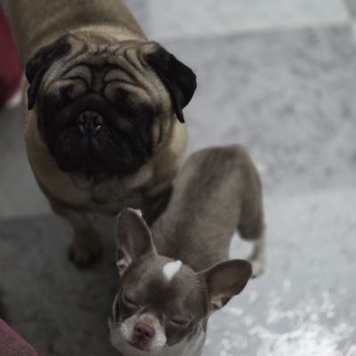 PHOTO-2026-02-17-09-13-54 3