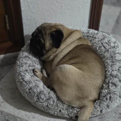 PHOTO-2026-02-17-09-13-54 4