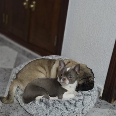 PHOTO-2026-02-17-09-13-54