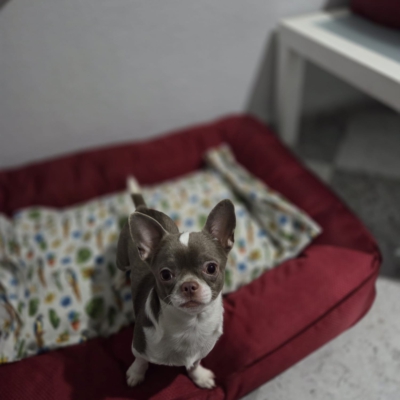 PHOTO-2026-02-17-09-13-54 5