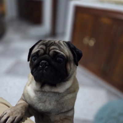 PHOTO-2026-02-17-09-13-54 7