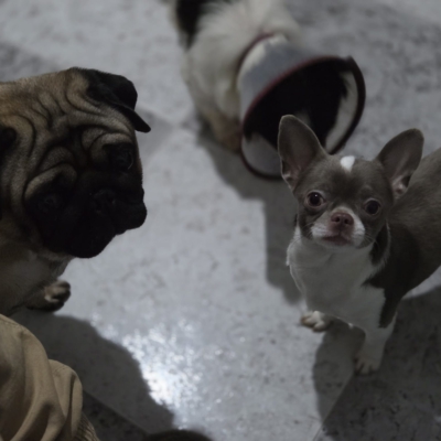 PHOTO-2026-02-17-09-13-54 8