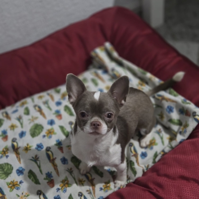 PHOTO-2026-02-17-09-13-54 9