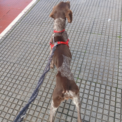 PHOTO-2026-02-17-09-14-40 2