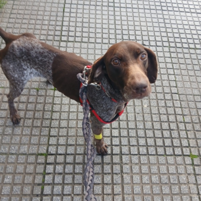 PHOTO-2026-02-17-09-14-40 3