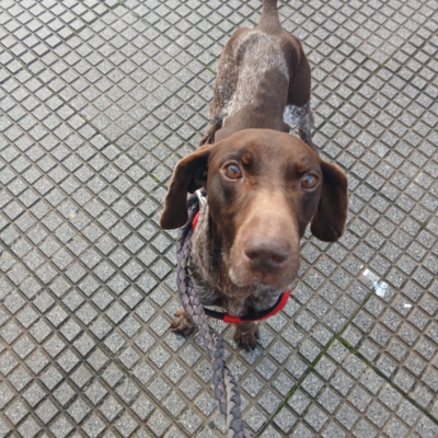 PHOTO-2026-02-17-09-14-40 4